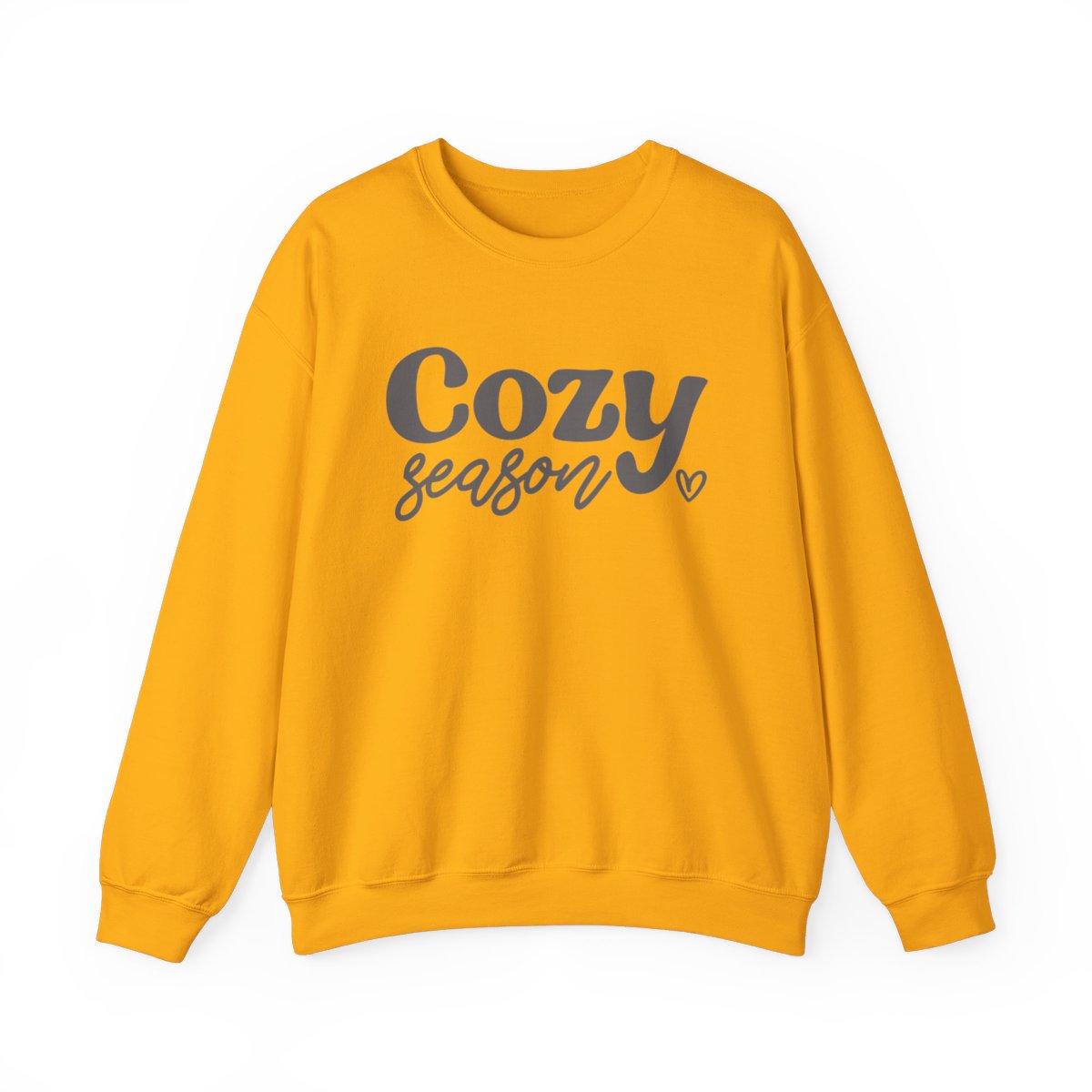 Cozy Season Long Sleeve Sweatshirt