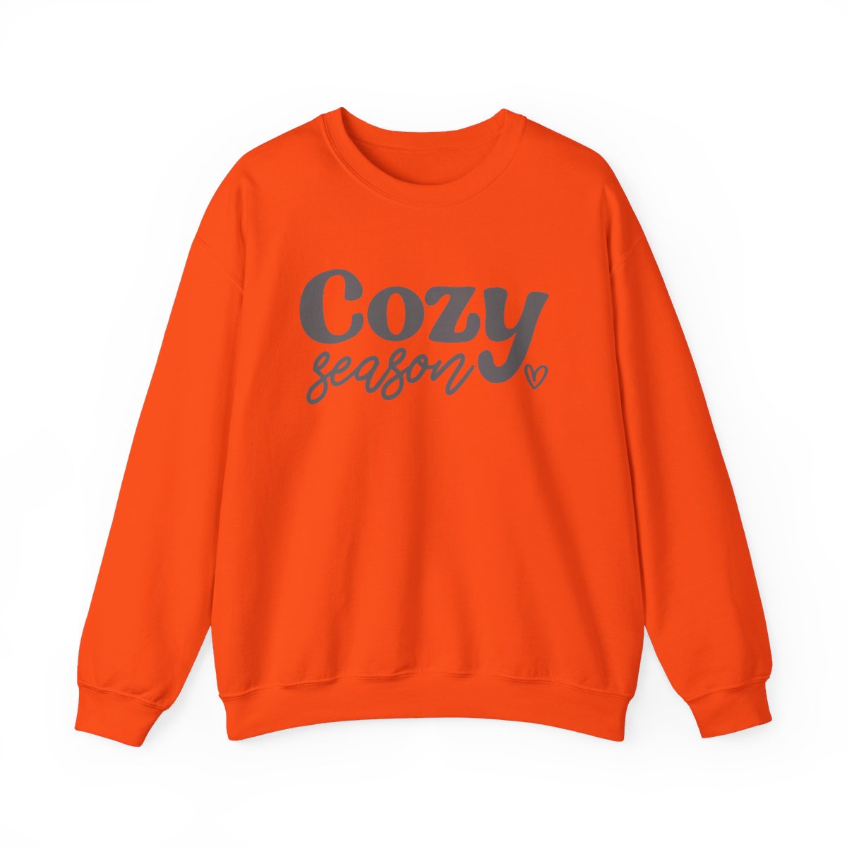 Cozy Season Long Sleeve Sweatshirt