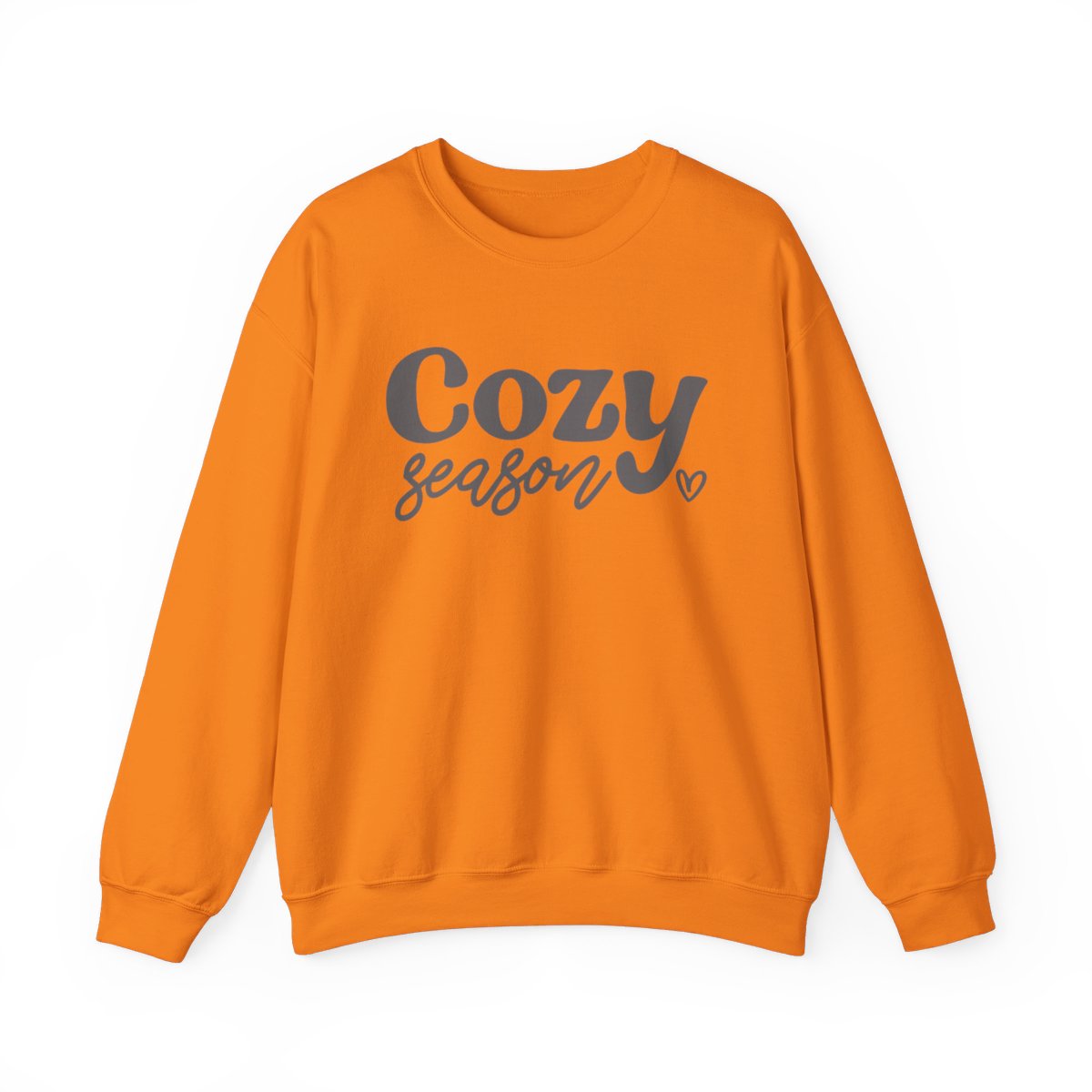 Cozy Season Long Sleeve Sweatshirt