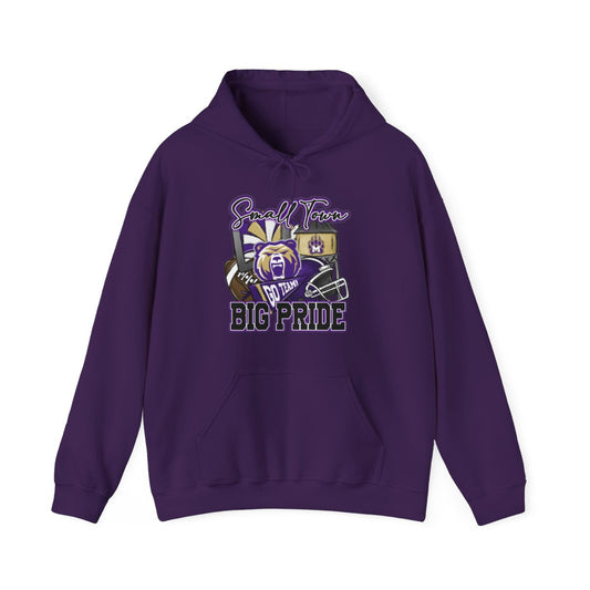 Small Town Big Pride Bears Hoodie