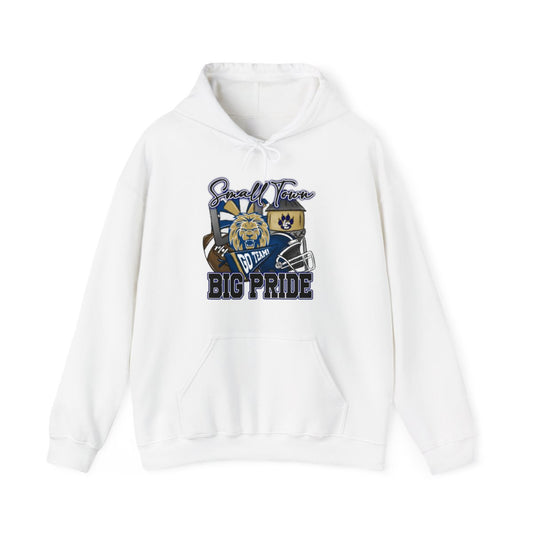 Small Town Big Pride Lions Hoodie